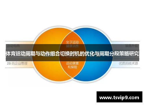 体育运动周期与动作组合切换时机的优化与周期分段策略研究